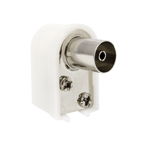 Φις κεραίας γωνιακό θηλυκό